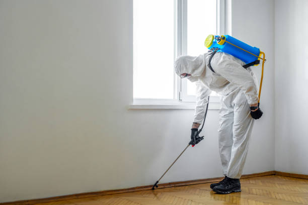 Pest Control Cost in Lebanon, KY
