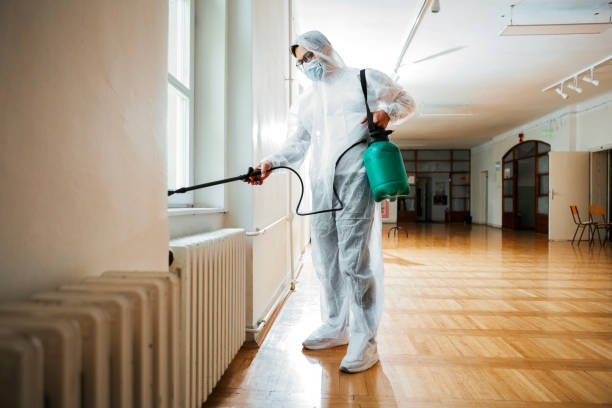 Trusted Lebanon, KY Pest Control Experts